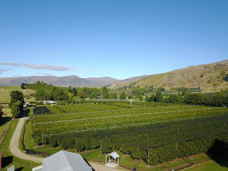 109 Ripponvale Road Cromwell_34