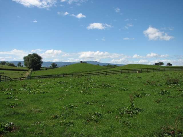 205 Gunn Road Waharoa_1