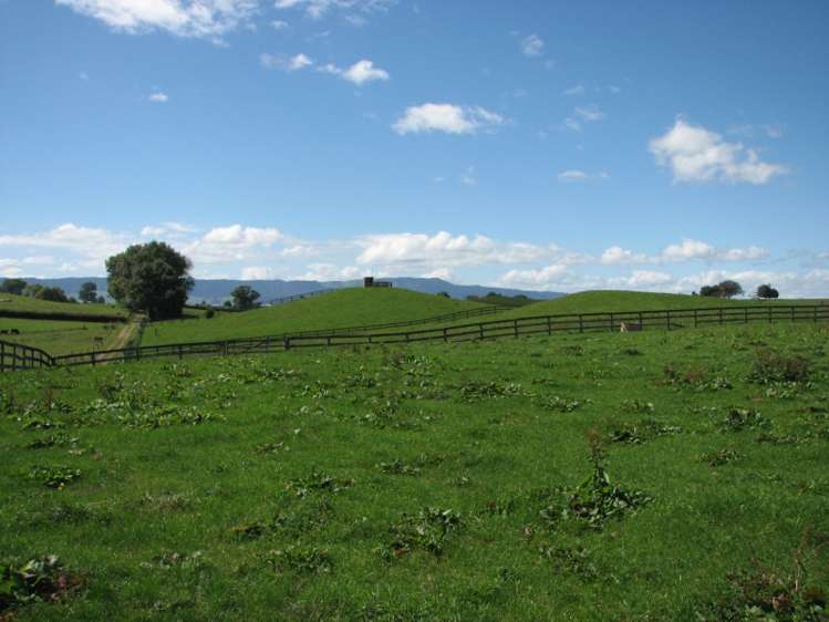 205 Gunn Road Waharoa_1