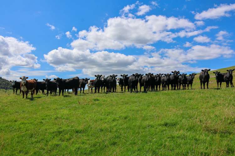 98 Millstream Road Dannevirke_9