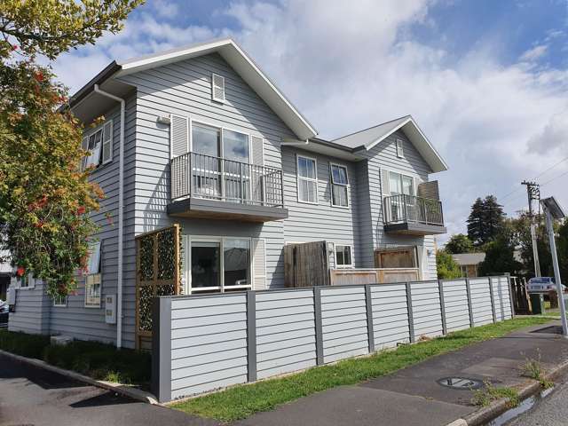 3/75 Cameron Road Hamilton East_1