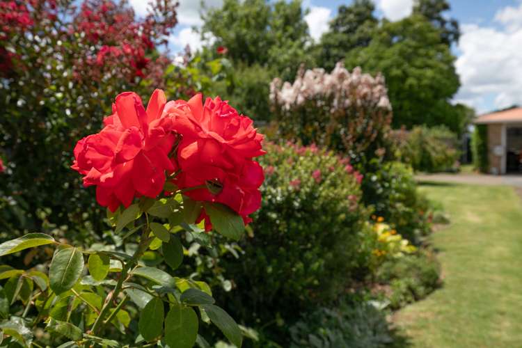 12 Ohinewai North Road Huntly_33