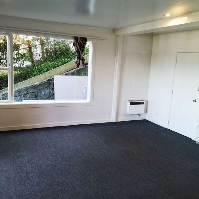 2/93 Rakau Road Hataitai_2