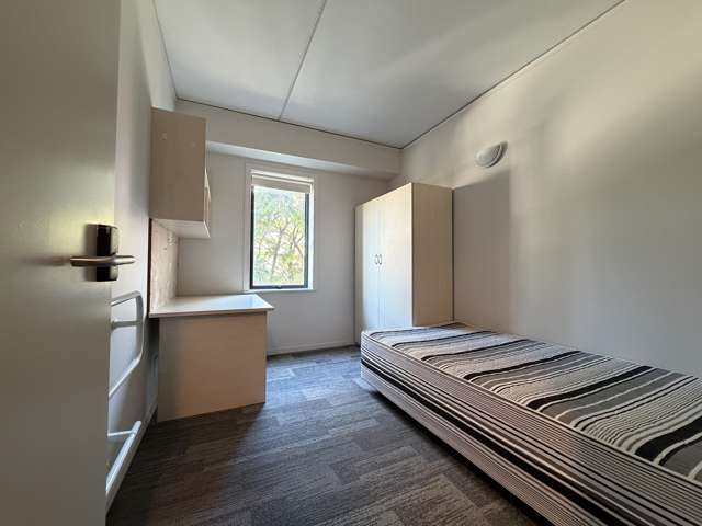 4H/8 Mount Street City Centre_3