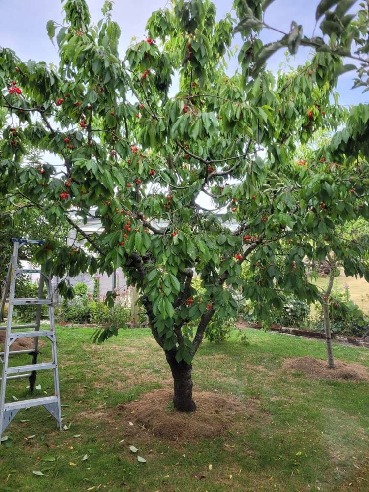 44 Woolshed Road Oamaru_28