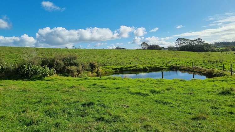 27 Riddell Road Kerikeri_9