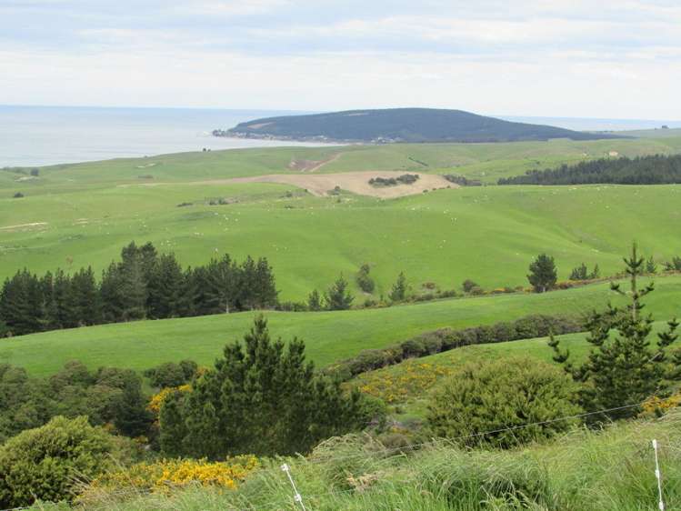 Horse Range Road Palmerston_16