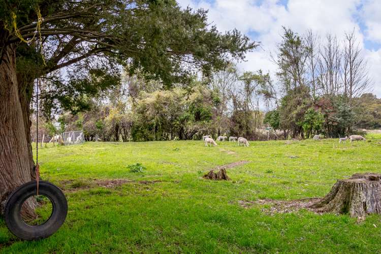 24 West Street Greytown_21