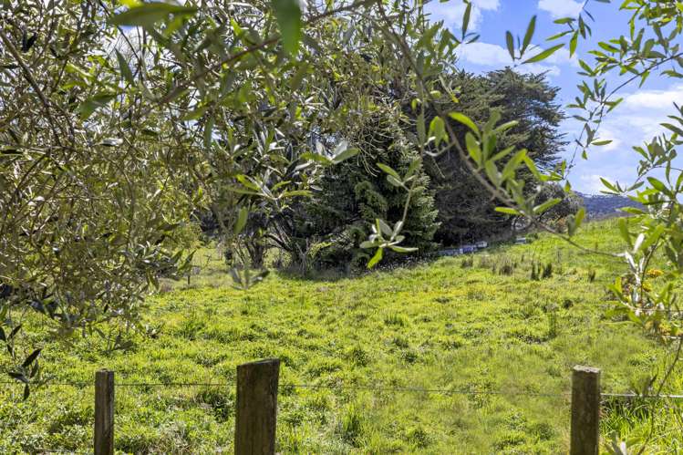 12C Primrose Street Raglan_26
