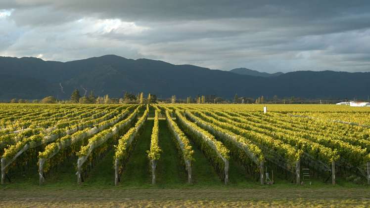 15 Godfrey Road Fairhall_10