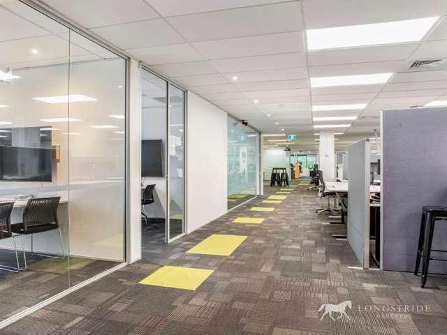 100 Carlton Gore Road Newmarket_3