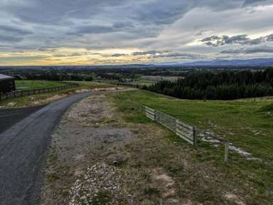 17 Mission Downs Lane_4