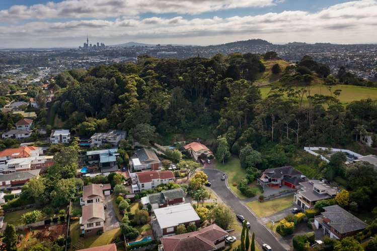 36 La Veta Avenue Mount Albert_30