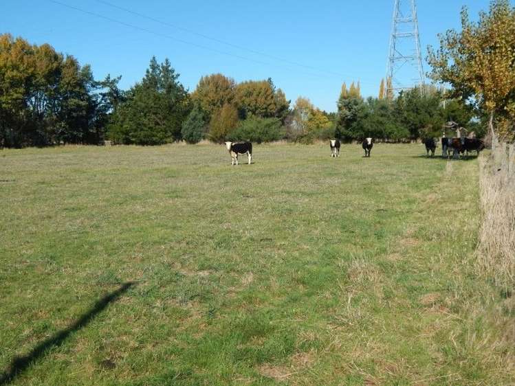 381 Bidwills Cutting Road Greytown_12