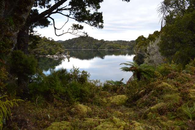 399 Prices Inlet Coast Stewart Island/Rakiura_4