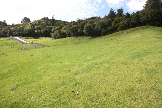 87a Thorn Road Waihi_1