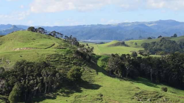 Taratara Road Kaeo_4