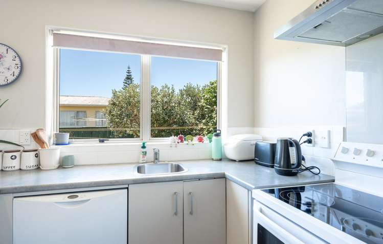 4/193 Songer Street_4