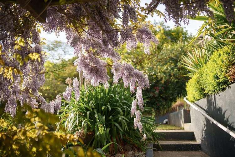 25 Maire Street 1874_18