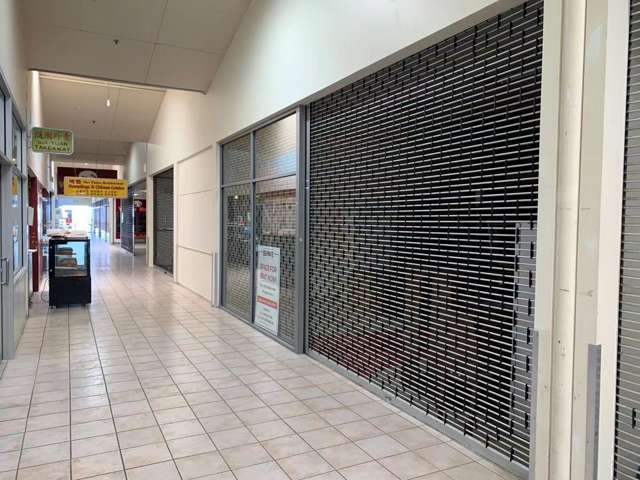 955 New North Road Mount Albert_3