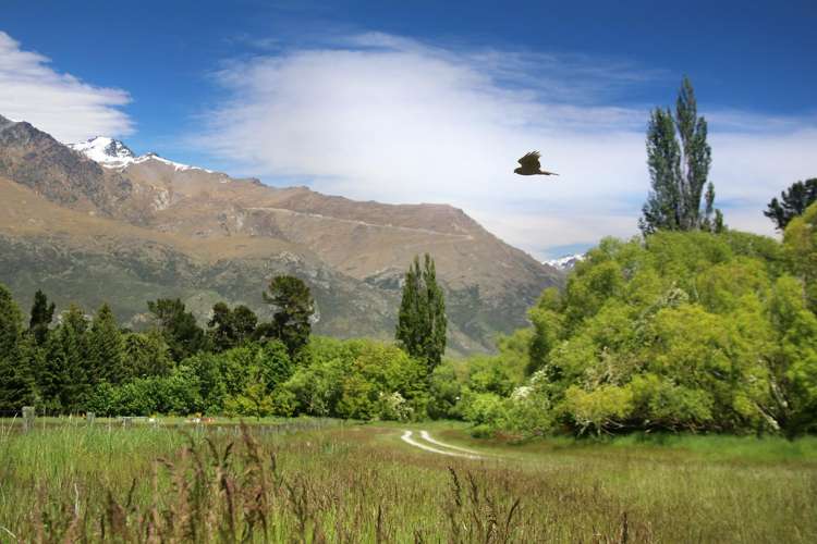 38 Glencoe Road Crown Terrace_10