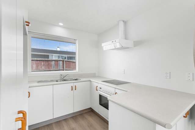 23B Division Street Riccarton_3