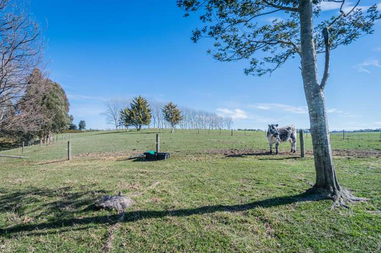 214 Rosebrook Road Timaru Surrounds_32