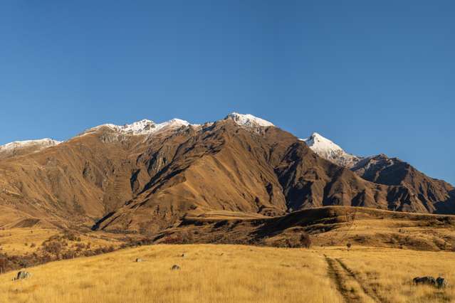 Walter Little, Mt Cardrona Station