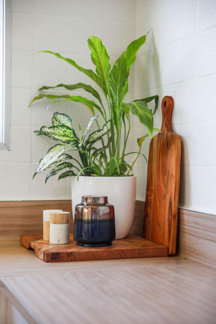 8 Kilworth Place Witherlea_12