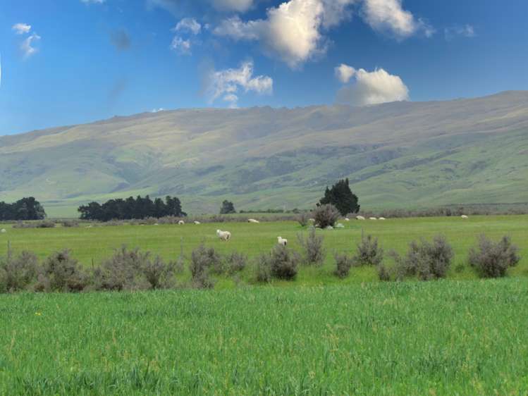 78 Mckinnon Road Middlemarch_13