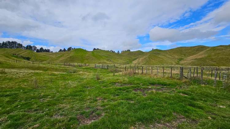 1723 Whangamata Road Marotiri_7