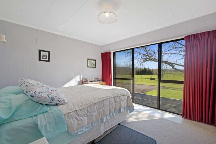 19 Newman Road Morrinsville_8