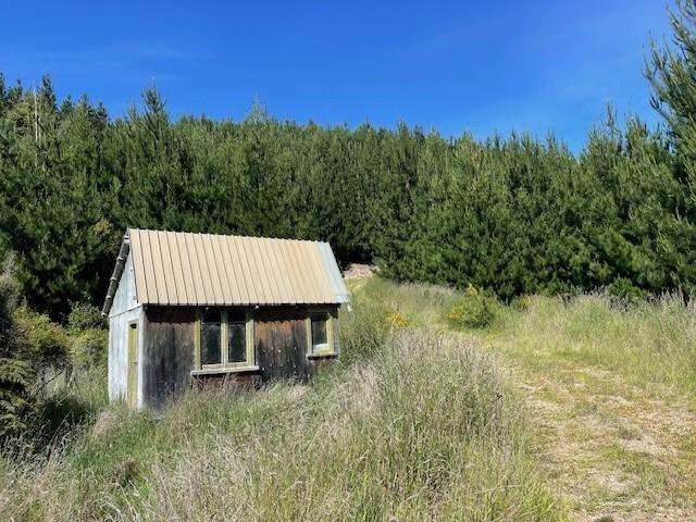 East Otago Forestry or Hunting Block