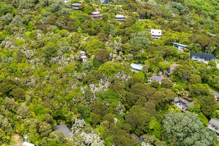 61 Trig Hill Road Onetangi_10