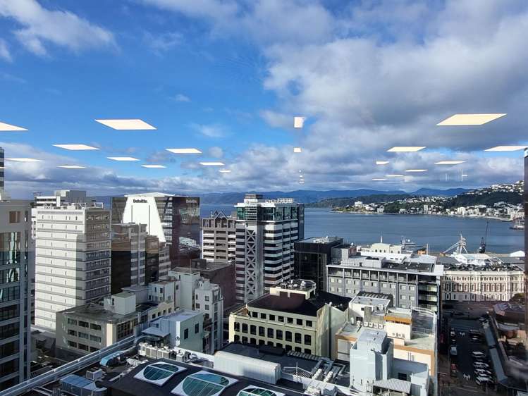 Level 17, 125 The Terrace Wellington Central_8