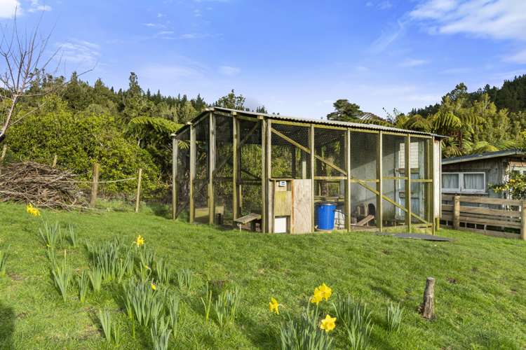 92a Oropi Gorge Road Pyes Pa_21