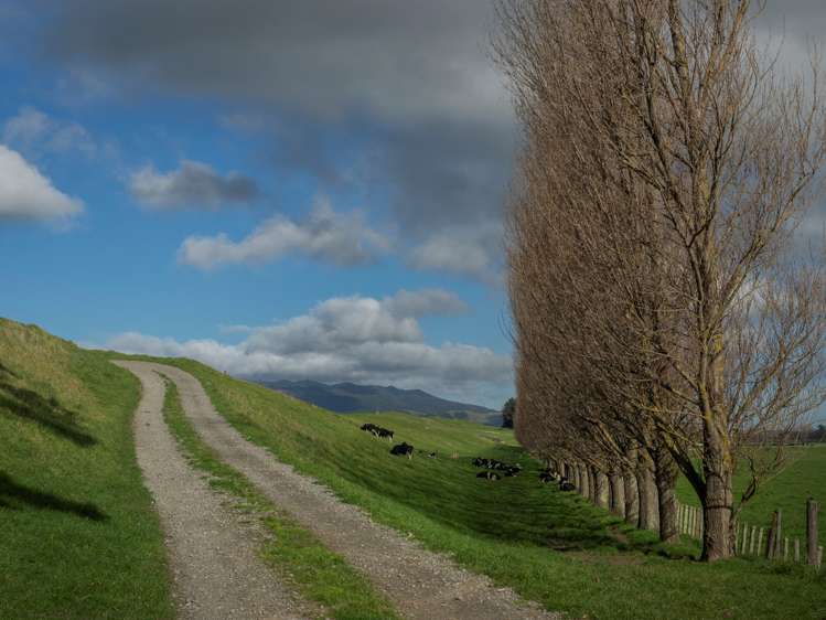 420a Kahutara Road Kahutara_17