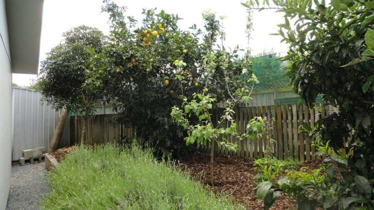 122 Lord Rutherford Road Brightwater_18