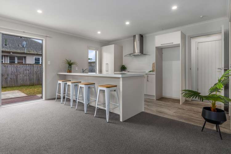 12A Guy Avenue Levin_10