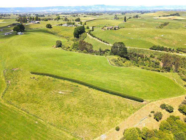 231B Morgan Road Matamata_18