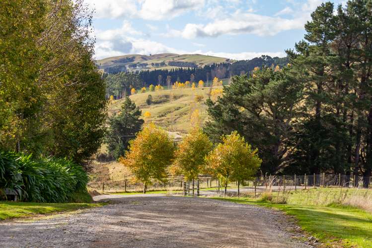 91 Falloon Settlement Road Kaituna_18