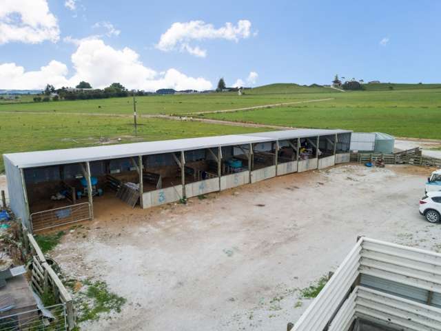 77 Molloy Road Ruawai_2