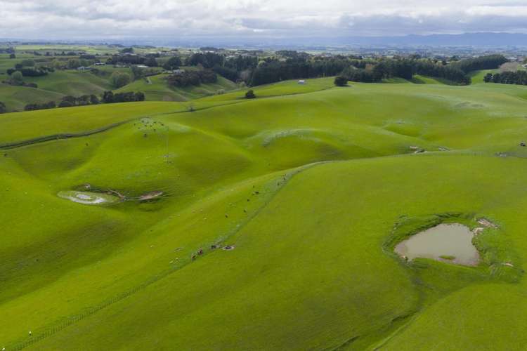 234 Sandon Road Feilding_9