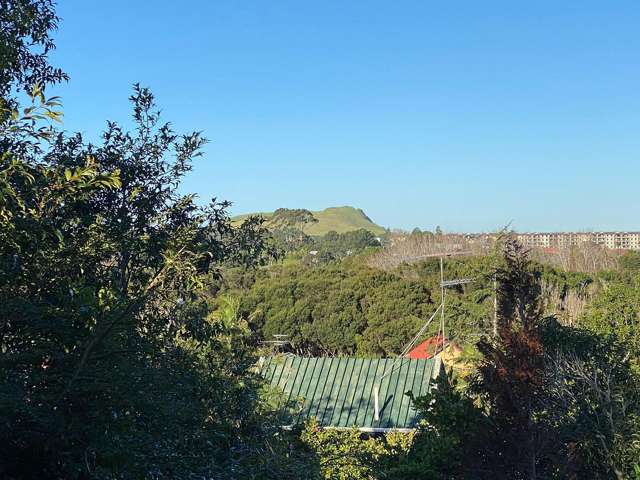 Address withheld Remuera_1