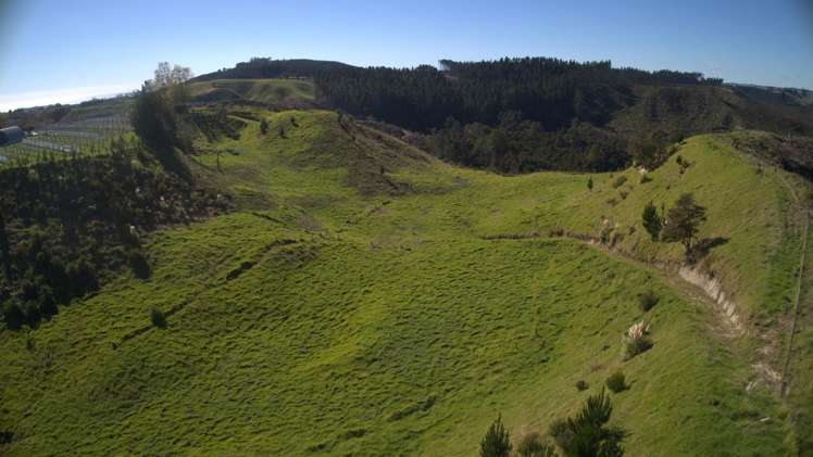 307 Campbell Road Pukehina_14