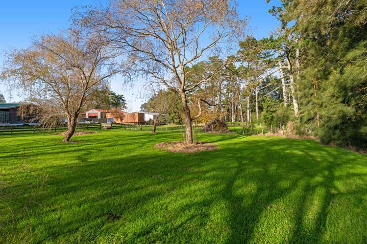 2312 State Highway 16 Helensville_23