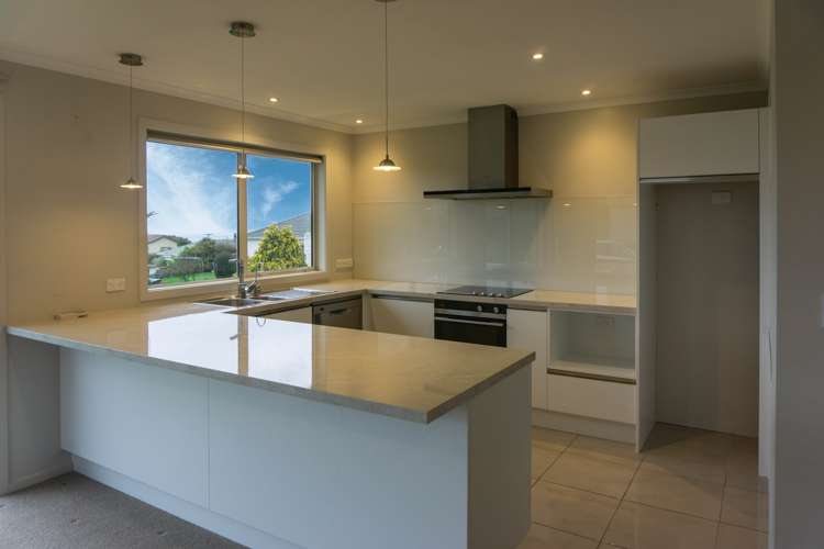 151a Tomahawk Road Andersons Bay_1