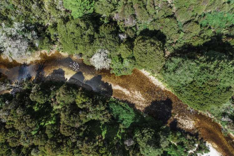 Tadmor-Glenhope Road Tasman_7