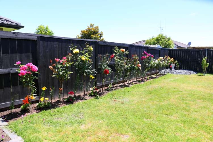 3 Evelyn Place Papamoa_1