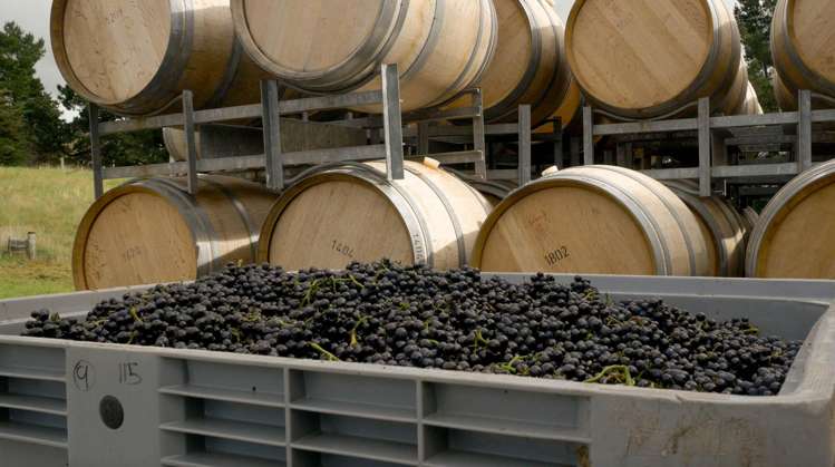 376 Ram Paddock Road Waipara_13